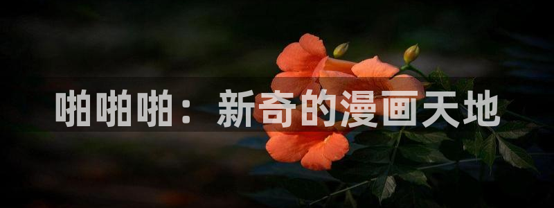 禁漫天堂怎么注册账号：啪啪啪：新奇的漫画天地